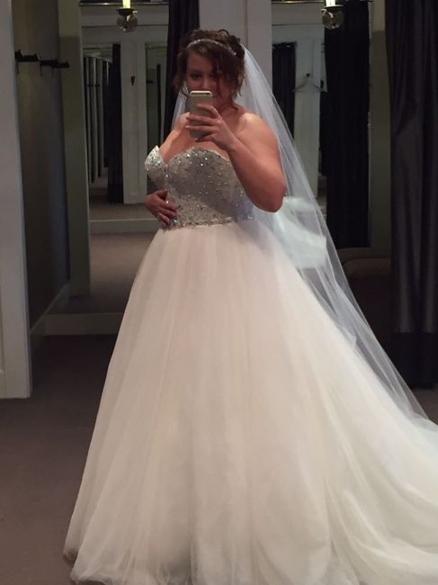 Plus Size Brides , share your dress !