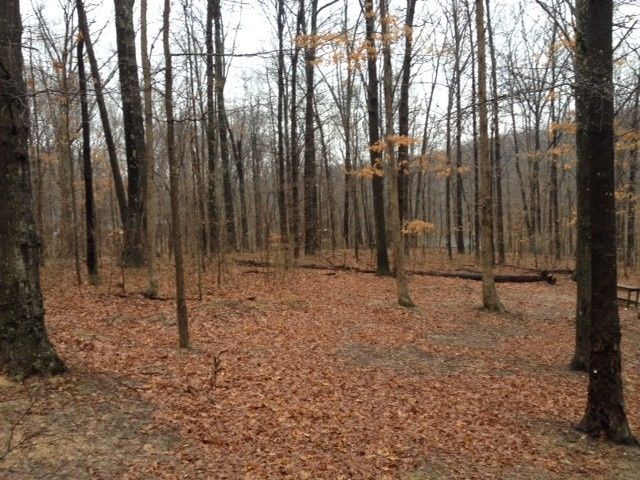 I'm getting married in the woods! (pics)