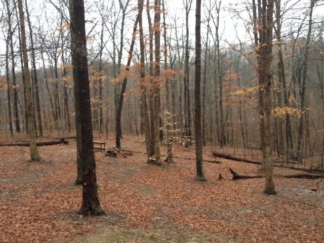 How would you set up Banquet Tables? (pics) wedding in the woods