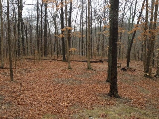 How would you set up Banquet Tables? (pics) wedding in the woods