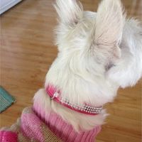 Show me your proposal pictures!(or e-pics)