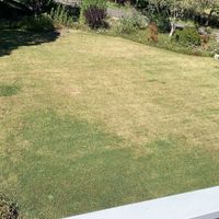 Backyard Wedding - 1