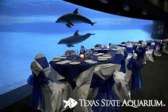 If you were a guest would this be an amazing venue or possibly cheesy venue...?