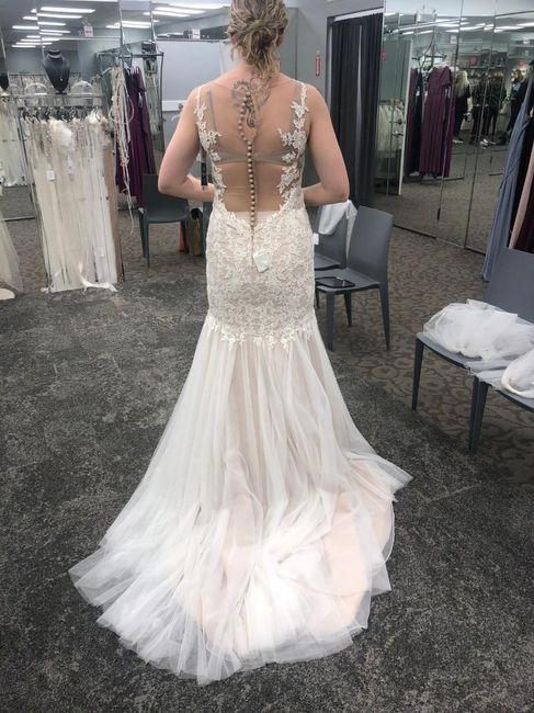 Dress shopping—show me your dress!! 5
