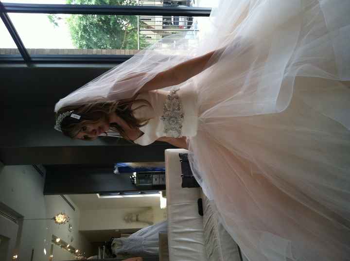 Sherbet Lazaro wedding dress..what color bridesmaid?...