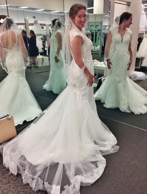 Davids Bridal Dresses!