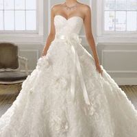 Dress drama! Someone PLEASE help!