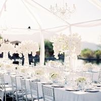 Venue or Wedding tent? Will it cost less. Backyard wedding okay? Still be glamorous? VERY indecisive