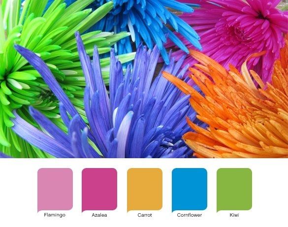 Wedding Colors