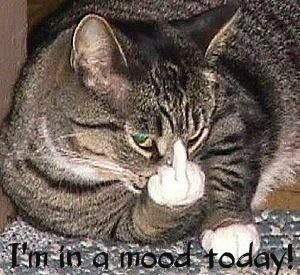 Monday, Monday, Monday