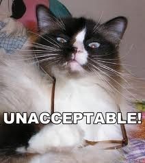 TGIF! Friday Cat Pics Included