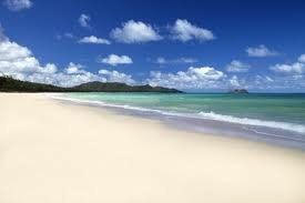 Destination Brides! Check in here!