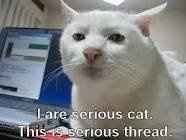 Mrs S ... We need to start another funny Cat thread!