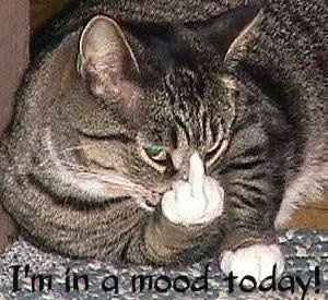 Monday, Monday, Monday