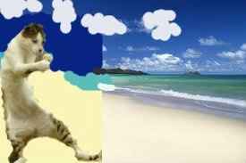 YAY!!!! It's hump day!!! Cats are dancing =) ***PIC***