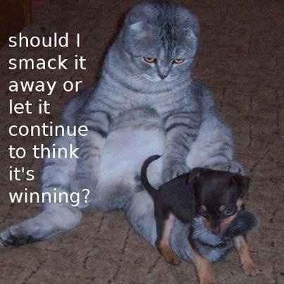Mrs S....I have another for you!!!
