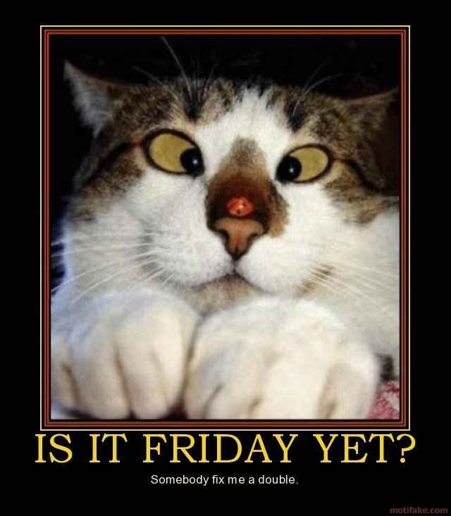 A must see to start your Friday!!!