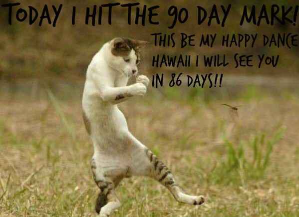 YAY!!!! It's hump day!!! Cats are dancing =) ***PIC***