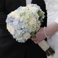 BAM! Mix of pro and non pro pictures!