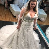 Who is your Dress Designer? - 1