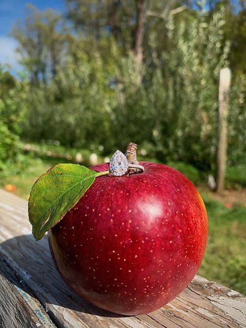 Brides of 2021! Show us your ring! - 1