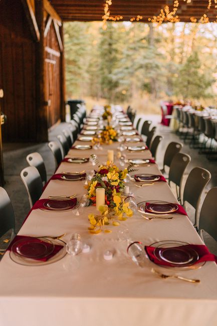 Pro bam - Covid wedding 5