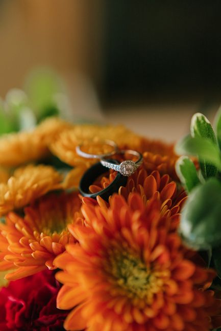 Pro bam - Covid wedding 15