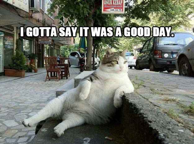 Is Thursday now Troll Thursday?