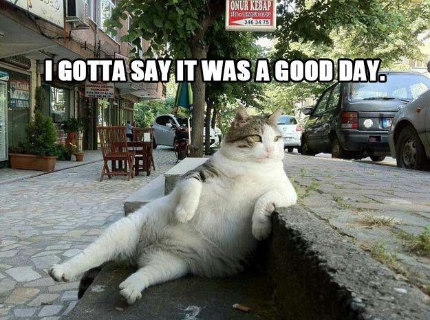Is Thursday now Troll Thursday?