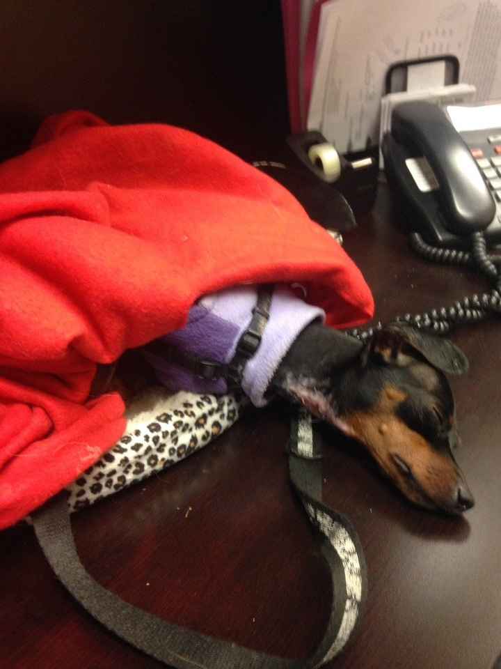 NWR Happy Fursday!!!