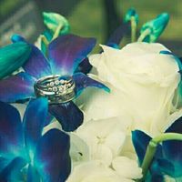 Show me your rings please? Going band shopping