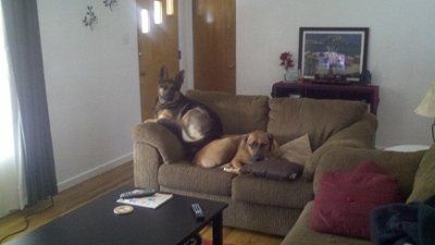 NWR: Furry Friends