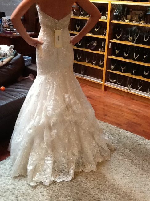 Bustle Options.... Help Please!! 2