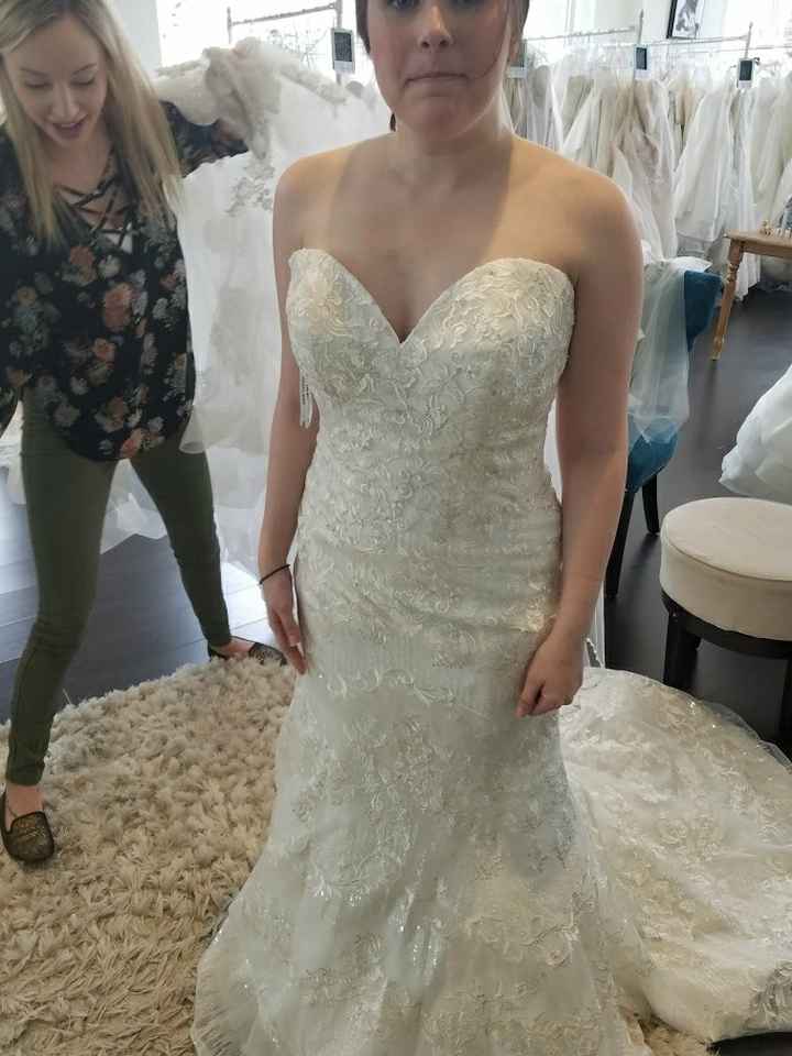 Seamstress destroyed dress - 4