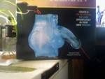 OMG I went shopping today and got a mold of....