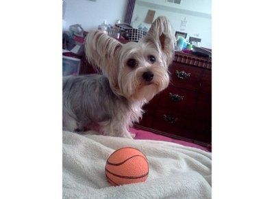 Lets see those pets!!! (NWR)