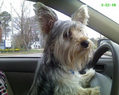NWR:  My little Stinker