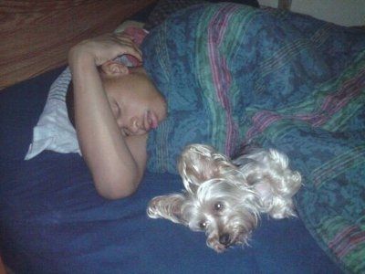 NWR: Furry Friends