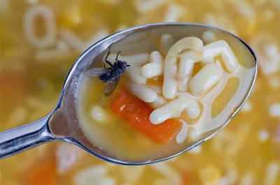 'Scuse me..There's a bug in my soup! (NWR)
