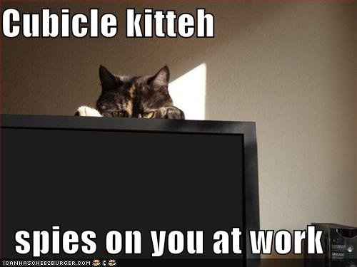 It's true - WW helps your work productivity