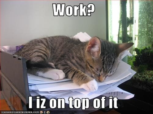 It's true - WW helps your work productivity