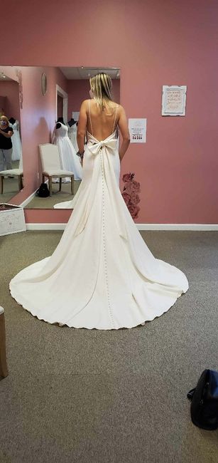Wedding dress decision - 2