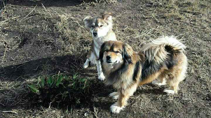 The line of 1000+ people