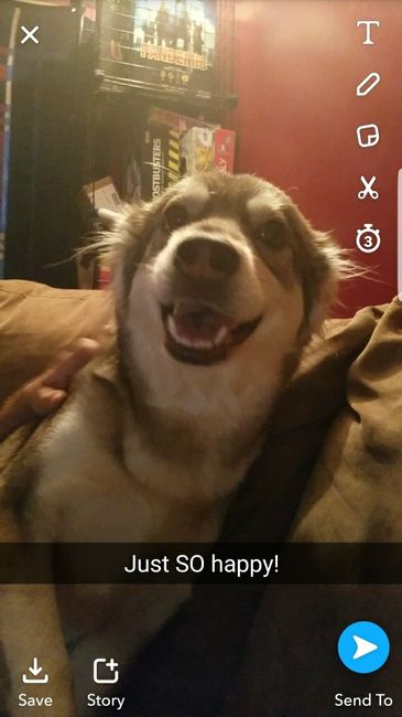 Nwr- show me your fur babies