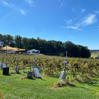 Bachelorette was a blast! - 1