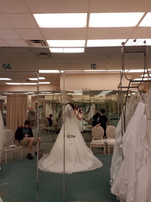 Did you say yes to the dress? 6