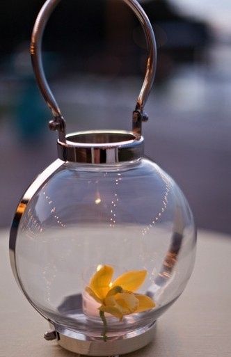 Where can I find these tealight/candle holders?