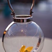 Where can I find these tealight/candle holders?