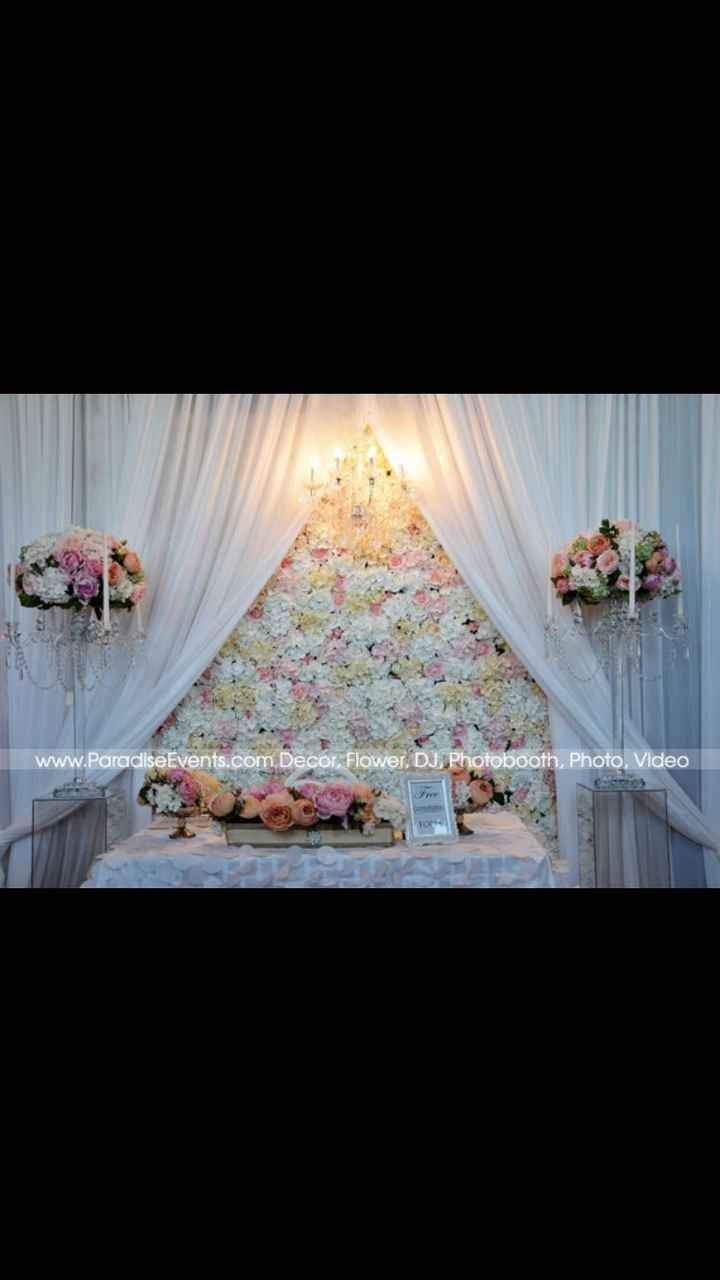 Backdrop - 1