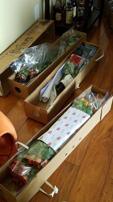 Flowers are here - 2